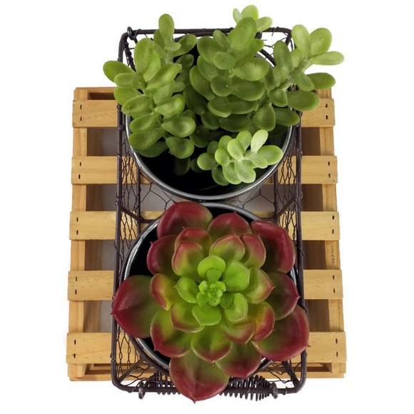 Galvanized Planter In Chicken Wire Basket-Double Planter - Picture 4 of 6